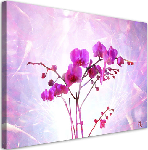 Quadro-su-tela,-Orchidea-essenziale