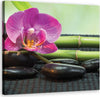 Quadro-su-tela,-Orchidea-su-pietre-nere
