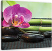 Quadro-su-tela,-Orchidea-su-pietre-nere