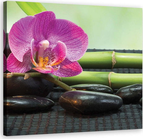 Quadro-su-tela,-Orchidea-su-pietre-nere
