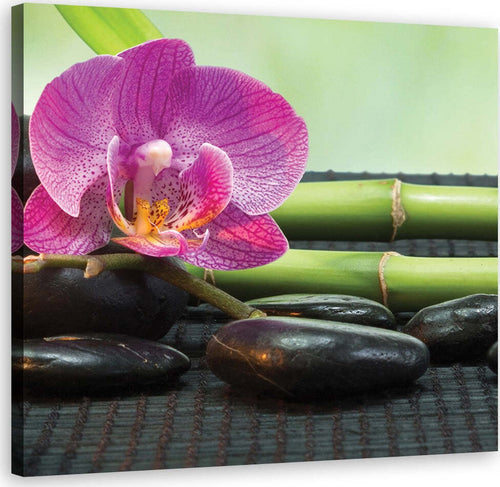 Quadro-su-tela,-Orchidea-su-pietre-nere
