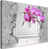 Quadro-su-tela,-Orchidea-su-uno-sfondo-3D-astratto