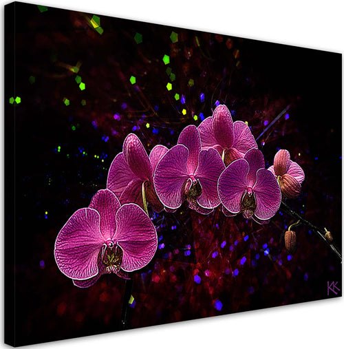 Quadro-su-tela,-Orchidea-su-uno-sfondo-scuro