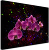 Quadro-su-tela,-Orchidea-su-uno-sfondo-scuro