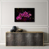 Quadro-su-tela,-Orchidea-su-uno-sfondo-scuro
