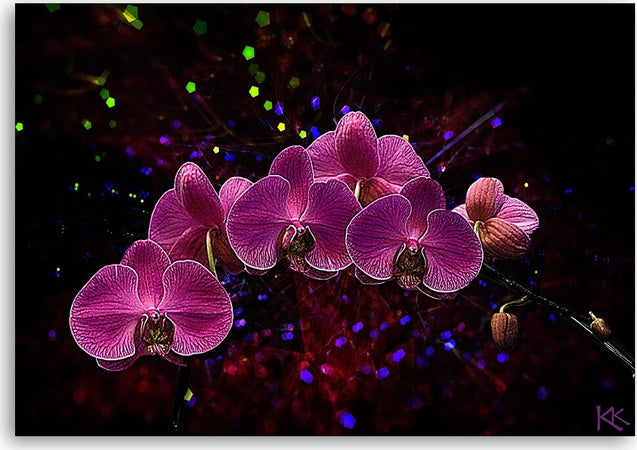 Quadro-su-tela,-Orchidea-su-uno-sfondo-scuro