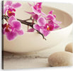Quadro-su-tela,-Orchidee-rosa-nel-piatto