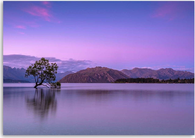 Quadro-su-tela,-Paesaggio-albero-viola