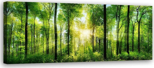Quadro-su-tela,-Paesaggio-Foresta-Verde-Natura