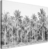 Quadro-su-tela,-Palme-in-bianco-e-nero-nella-giungla
