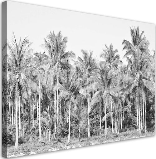 Quadro-su-tela,-Palme-in-bianco-e-nero-nella-giungla