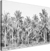 Quadro-su-tela,-Palme-in-bianco-e-nero-nella-giungla
