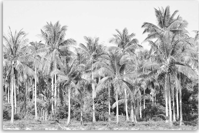 Quadro-su-tela,-Palme-in-bianco-e-nero-nella-giungla