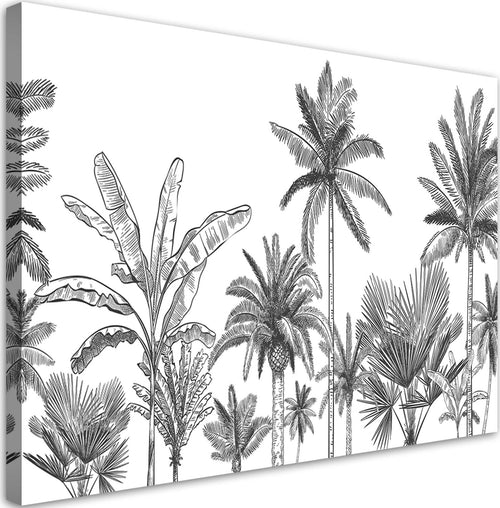 Quadro-su-tela,-Palme-in-bianco-e-nero