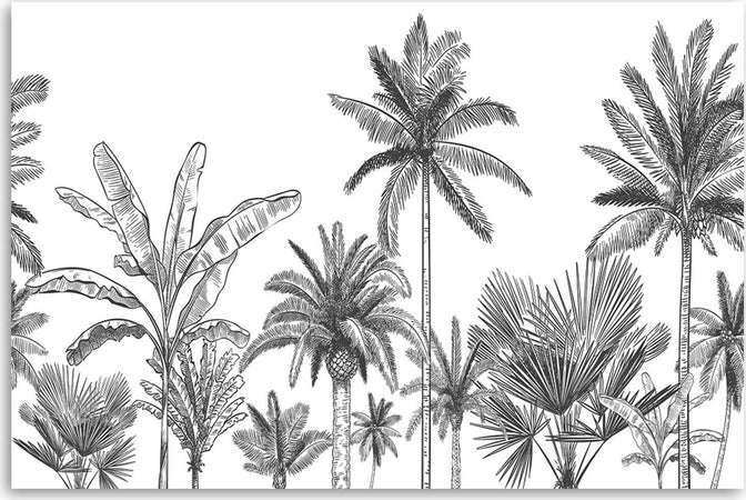 Quadro-su-tela,-Palme-in-bianco-e-nero