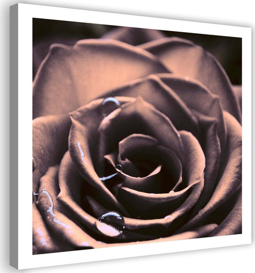 Quadro-su-tela,-Pianta-di-fiori-di-rosa