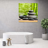 Quadro-su-tela,-Pietre-foglie-zen-spa