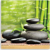 Quadro-su-tela,-Pietre-foglie-zen-spa