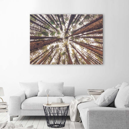 Quadro-su-tela,-Pino-Natura-Foresta-Verde