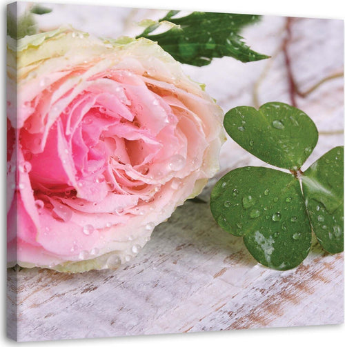 Quadro-su-tela,-Rosa-fiore-rosa-natura