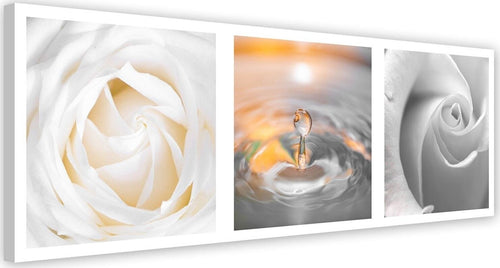 Quadro-su-tela,-Rose-Bianche-Fiori-panoramica