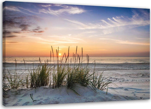 Quadro-su-tela,-Spiaggia-erba-di-mare-tramonto