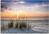 Quadro-su-tela,-Spiaggia-erba-di-mare-tramonto
