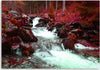 Quadro-su-tela,-Torrente-di-montagna-foresta-rosso