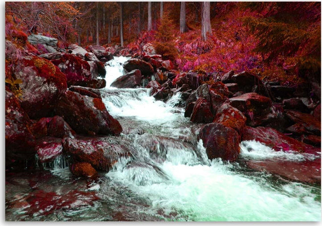 Quadro-su-tela,-Torrente-di-montagna-foresta-rosso
