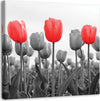 Quadro-su-tela,-Tulipano-rosso-nel-prato
