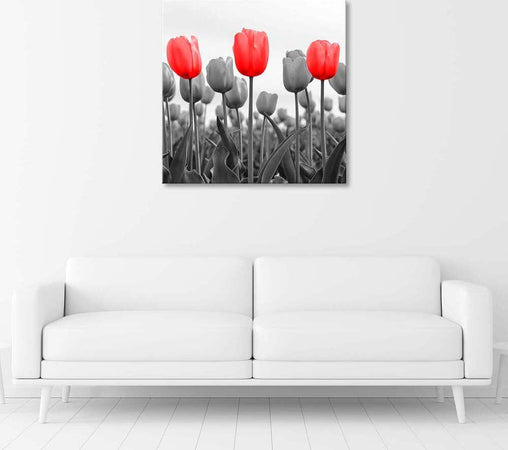 Quadro-su-tela,-Tulipano-rosso-nel-prato