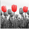 Quadro-su-tela,-Tulipano-rosso-nel-prato