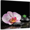 Quadro-su-tela,-Uno-zen-in-fiore-di-orchidea