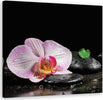 Quadro-su-tela,-Uno-zen-in-fiore-di-orchidea