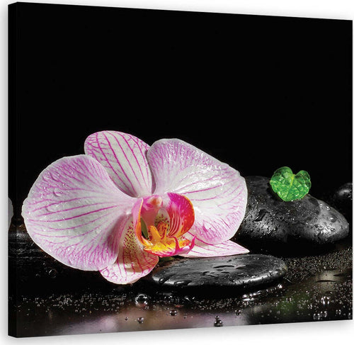 Quadro-su-tela,-Uno-zen-in-fiore-di-orchidea