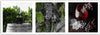Quadro-su-tela,-Uva-Foglie