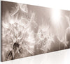Quadro-Summer-Dandelions