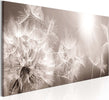 Quadro-Summer-Dandelions