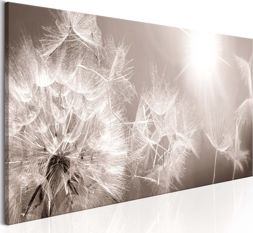 Quadro-Summer-Dandelions
