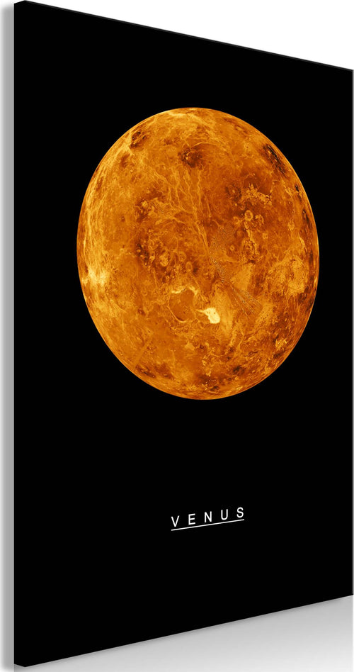 Quadro-Venus-(1-Part)-Vertical