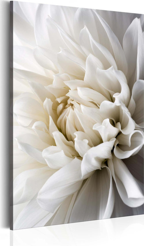 Quadro-White-Dahlia