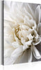 Quadro-White-Dahlia