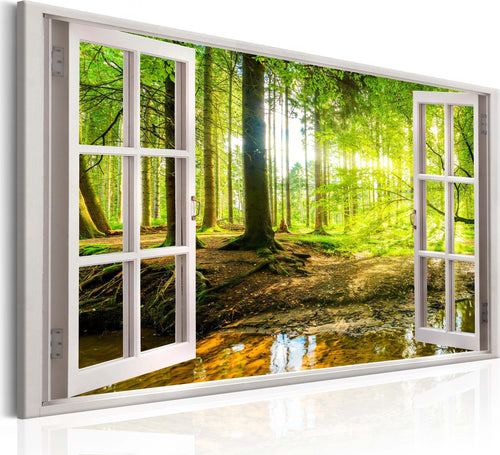 Quadro-Window-View-on-Forest