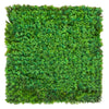Pannelli Verde Verticale 50×50 cm Ultra-realistici e folti, per interno/esterno MUSCHIO PLUVIALE - Eternal Parquet - Eternal Parquet