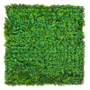 Pannelli Verde Verticale 50×50 cm Ultra-realistici e folti, per interno/esterno MUSCHIO PLUVIALE - Eternal Parquet - Eternal Parquet