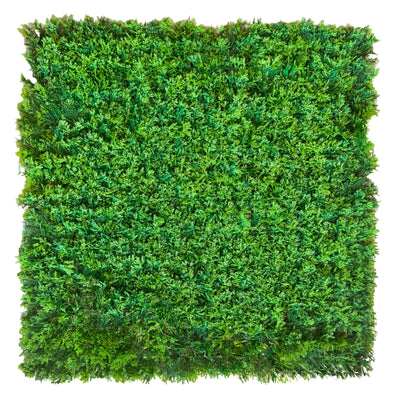 Pannelli Verde Verticale 50×50 cm Ultra-realistici e folti, per interno/esterno MUSCHIO PLUVIALE - Eternal Parquet - Eternal Parquet