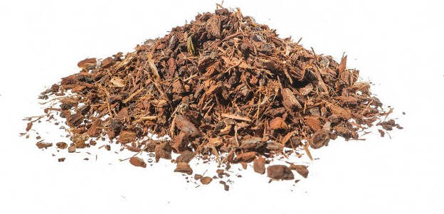 QUERCIA-Corteccia-500-gr-Biokyma