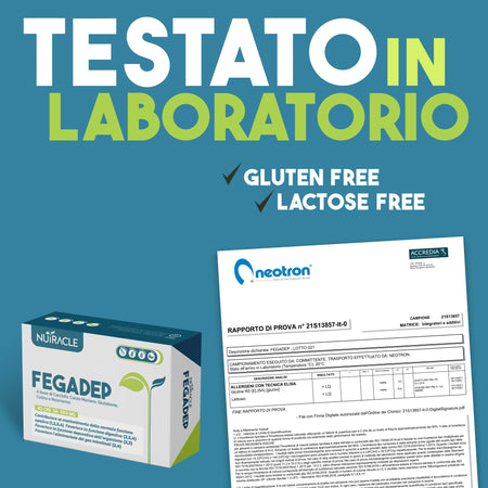 fegadep-4