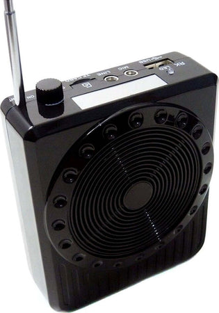 RADIO FM KARAOKE USB CASSA SPEAKER MICROFONO ARCHETTO AMPLIFICATORE AUDIO 20W Elettronica/Audio e video portatile/Radio Trade Shop italia - Napoli, Commerciovirtuoso.it