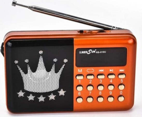 Radio-Fm-Rs-010u-Lettore-Musicale-Player-Portatile-Microsd-Mmc-Usb-Aux